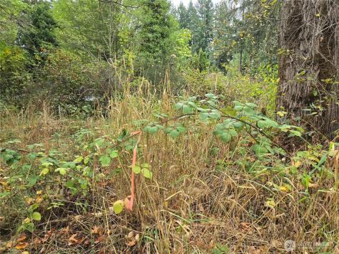 12628 208th Place NE Woodinville WA 98077