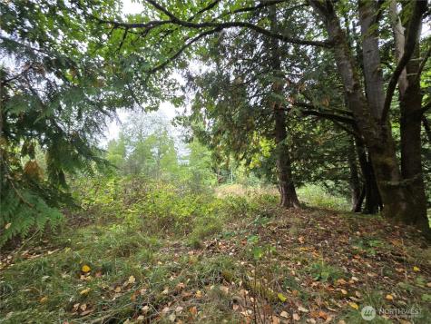 12628 208th Place NE Woodinville WA 98077