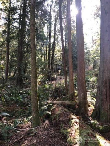 24108 NE 22ndstreet Sammamish WA 98074