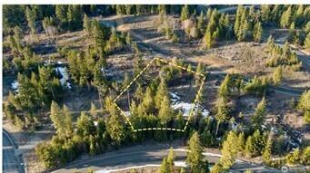 47 Forest Ridge Drive (Lot #47) Cle Elum WA 98922