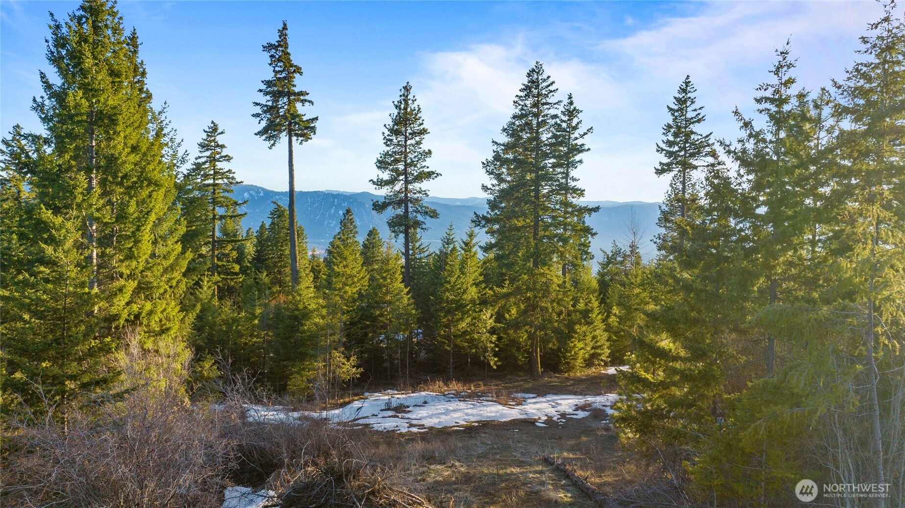 47 Forest Ridge Drive (Lot #47) Cle Elum WA 98922