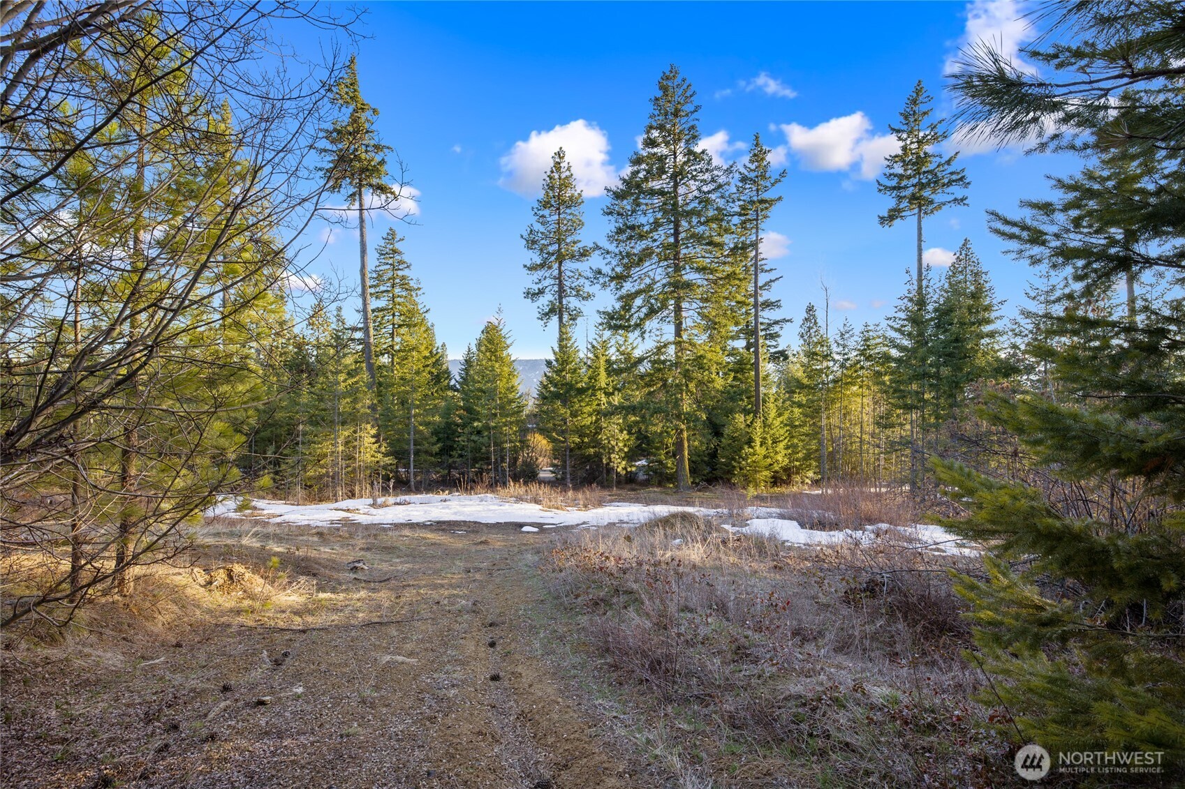47 Forest Ridge Drive (Lot #47) Cle Elum WA 98922