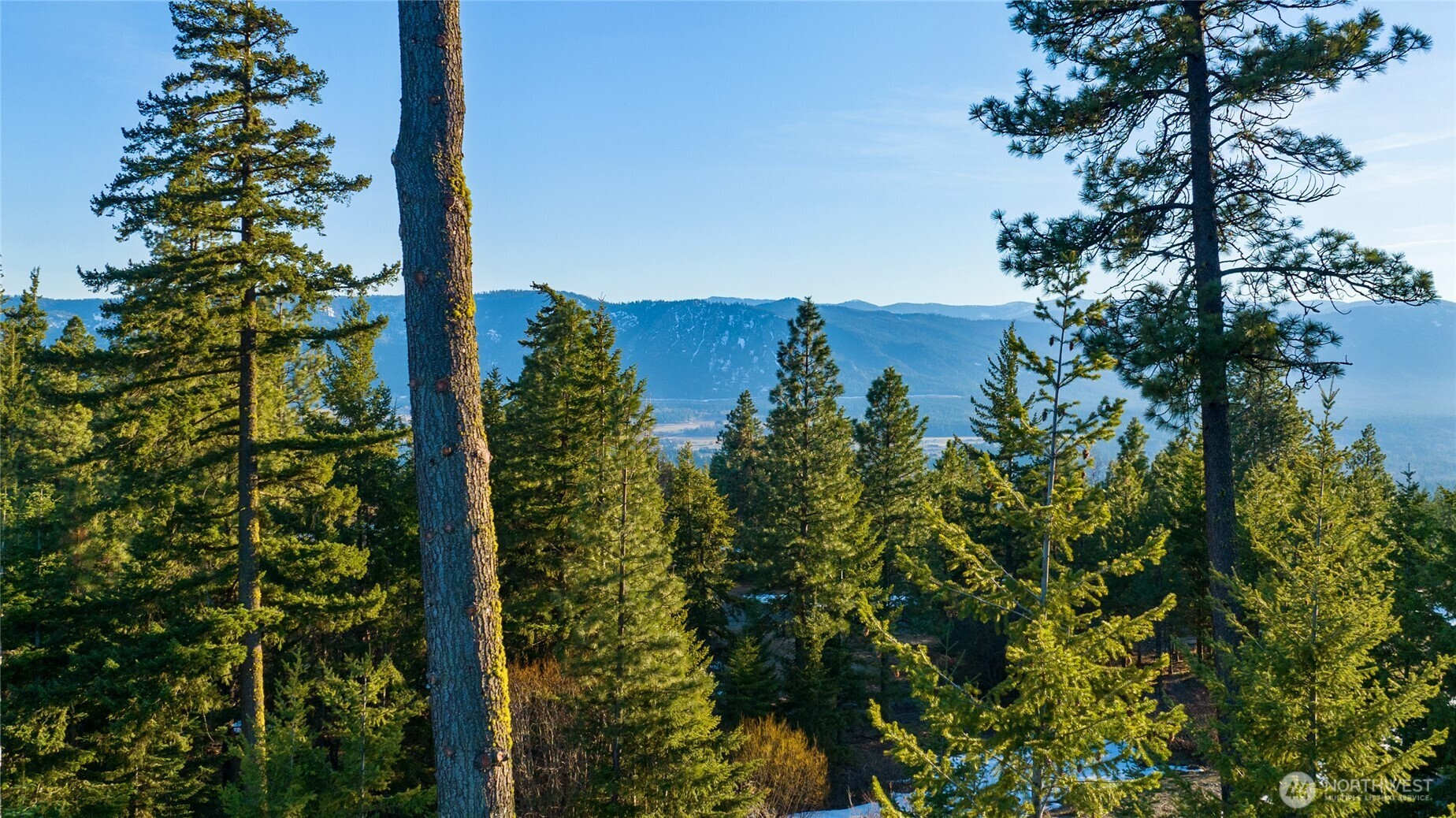 47 Forest Ridge Drive (Lot #47) Cle Elum WA 98922