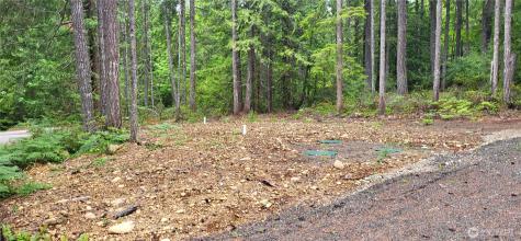 0 N Mount Jupiter Drive Hoodsport WA 98548