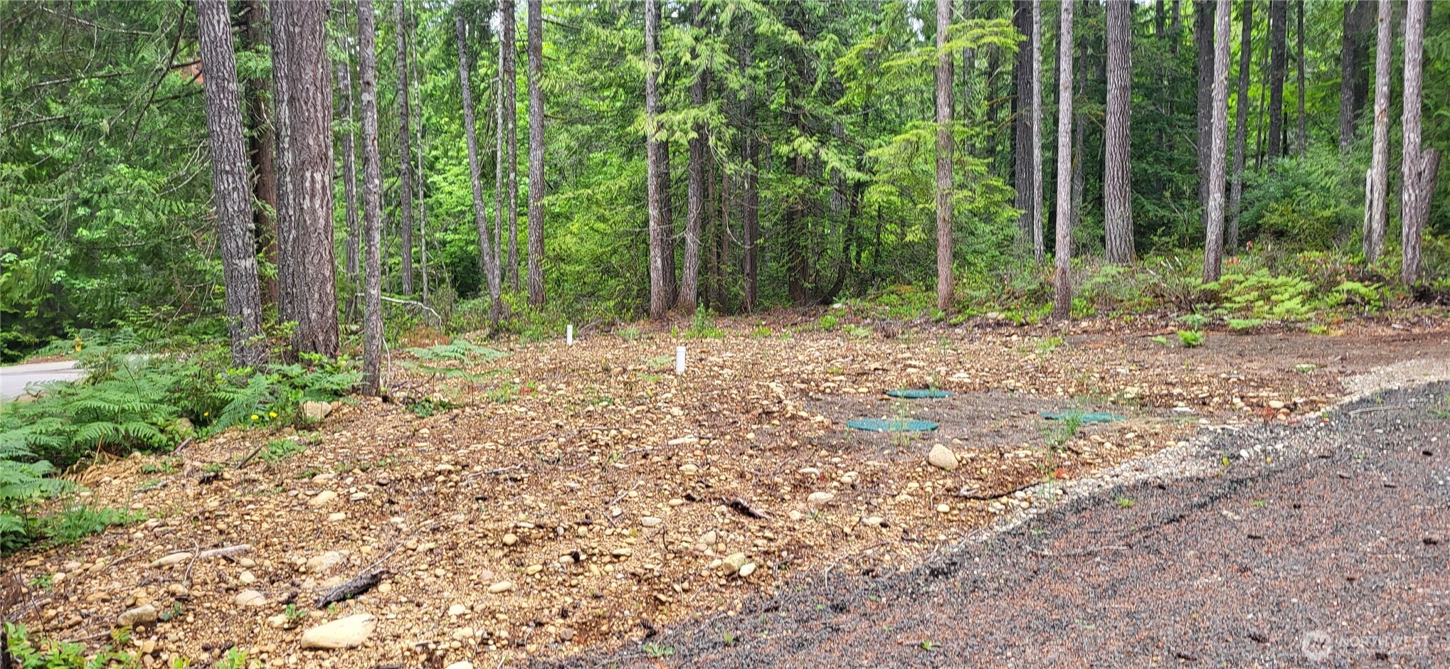 0 N Mt Jupiter Drive Hoodsport WA 98548