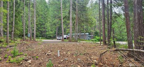 0 N Mount Jupiter Drive Hoodsport WA 98548