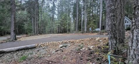 0 N Mount Jupiter Drive Hoodsport WA 98548