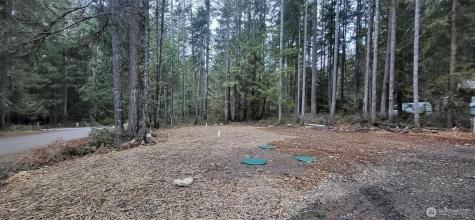 0 N Mount Jupiter Drive Hoodsport WA 98548