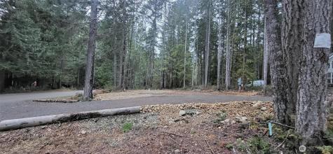 0 N Mount Jupiter Drive Hoodsport WA 98548