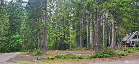 0 N Mount Jupiter Drive Hoodsport WA 98548