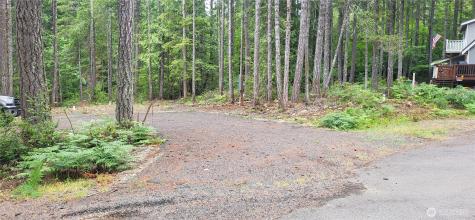 0 N Mount Jupiter Drive Hoodsport WA 98548