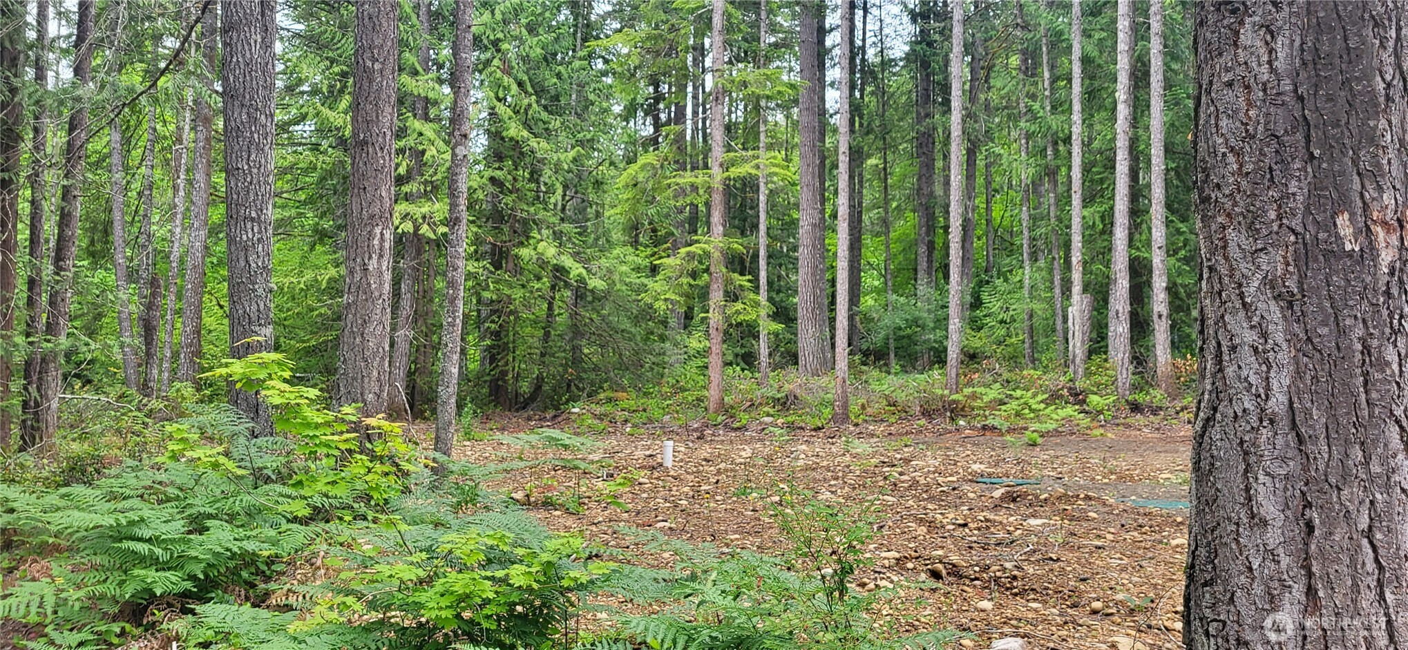 0 N Mt Jupiter Drive Hoodsport WA 98548