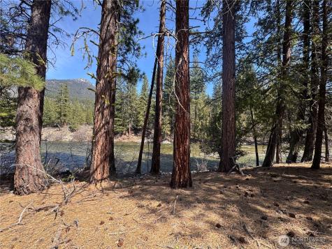 38 Mazama Pines Lane Mazama WA 98833