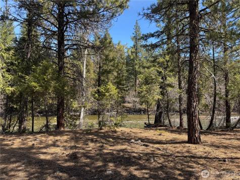 38 Mazama Pines Lane Mazama WA 98833