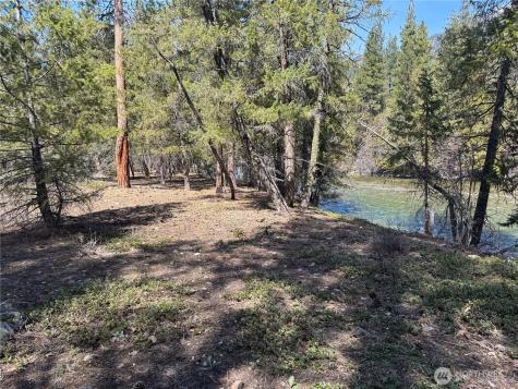 38 Mazama Pines Lane Mazama WA 98833