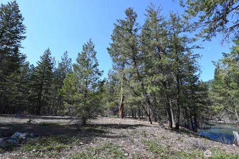 38 Mazama Pines Lane Mazama WA 98833