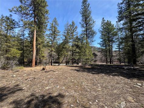 38 Mazama Pines Lane Mazama WA 98833