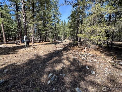 38 Mazama Pines Lane Mazama WA 98833