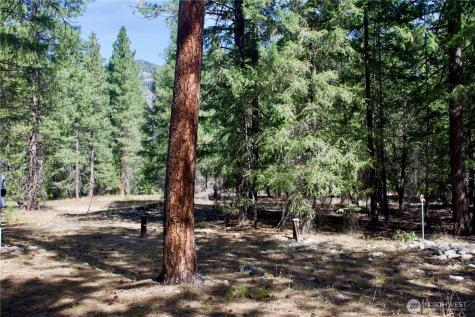 38 Mazama Pines Lane Mazama WA 98833