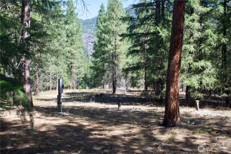 38 Mazama Pines Lane Mazama WA 98833