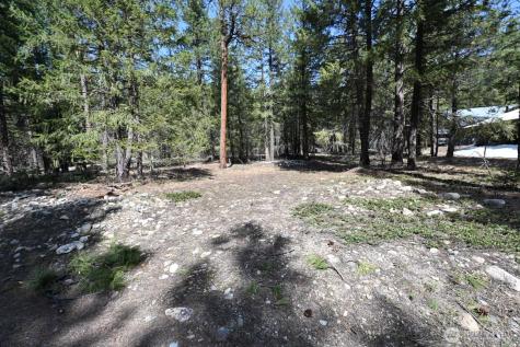 38 Mazama Pines Lane Mazama WA 98833