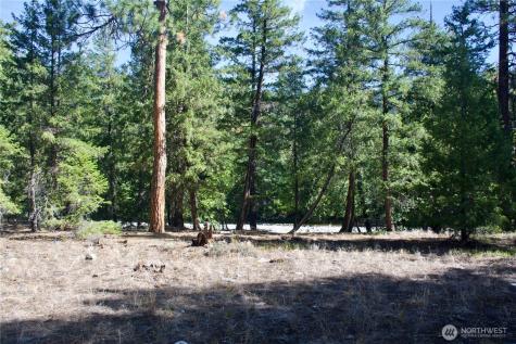 38 Mazama Pines Lane Mazama WA 98833