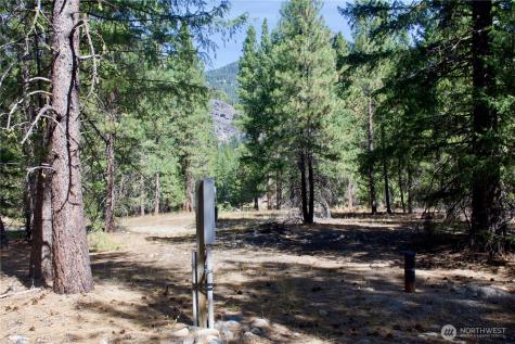 38 Mazama Pines Lane Mazama WA 98833