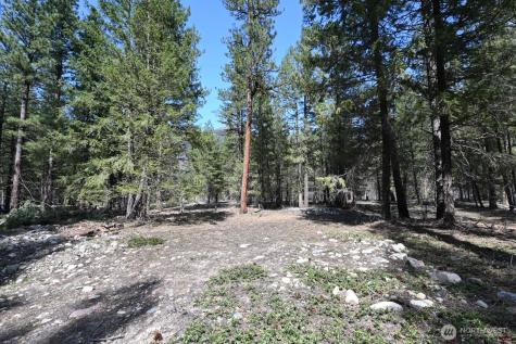 38 Mazama Pines Lane Mazama WA 98833