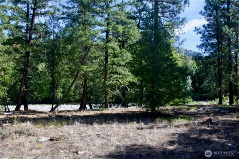 38 Mazama Pines Lane Mazama WA 98833