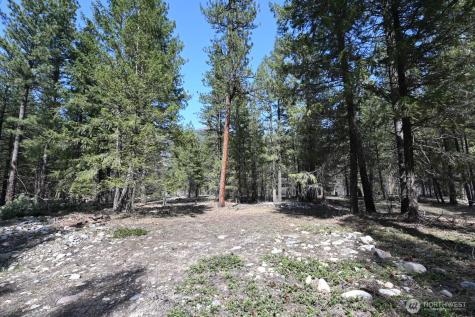 38 Mazama Pines Lane Mazama WA 98833