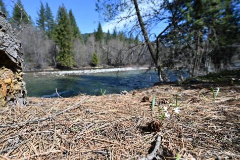 38 Mazama Pines Lane Mazama WA 98833