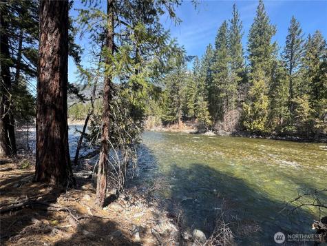 38 Mazama Pines Lane Mazama WA 98833