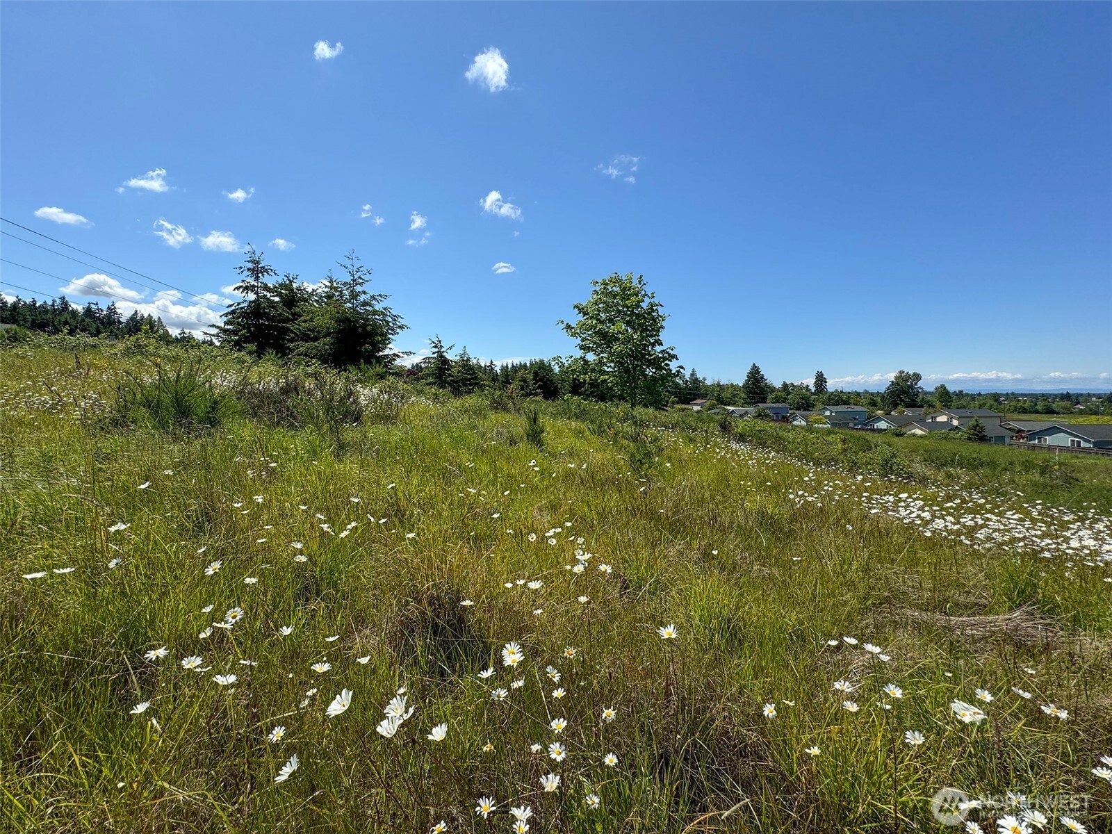 9999 Miller Road Sequim WA 98382
