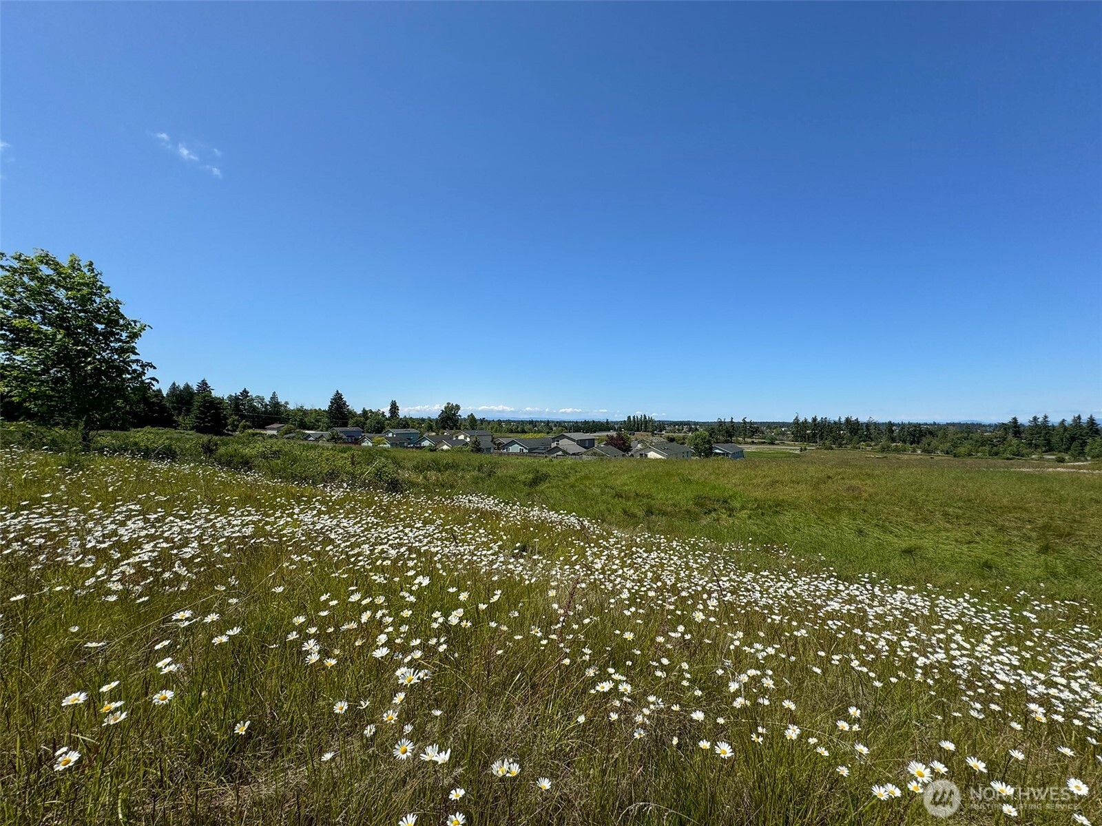 9999 Miller Road Sequim WA 98382