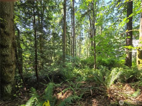 100 210th Avenue NE Sammamish WA 98074