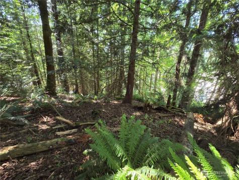 100 210th Avenue NE Sammamish WA 98074