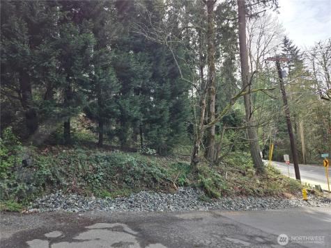 100 210th Avenue NE Sammamish WA 98074