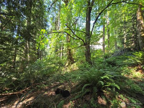 100 210th Avenue NE Sammamish WA 98074