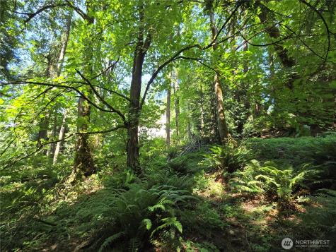 100 210th Avenue NE Sammamish WA 98074