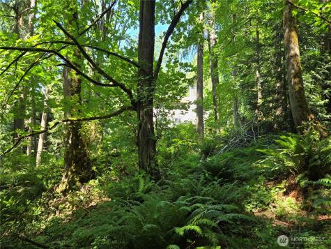 100 210th Avenue NE Sammamish WA 98074