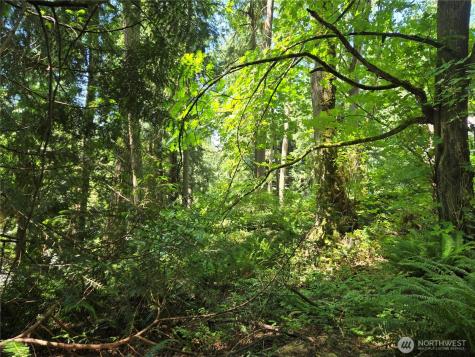 100 210th Avenue NE Sammamish WA 98074