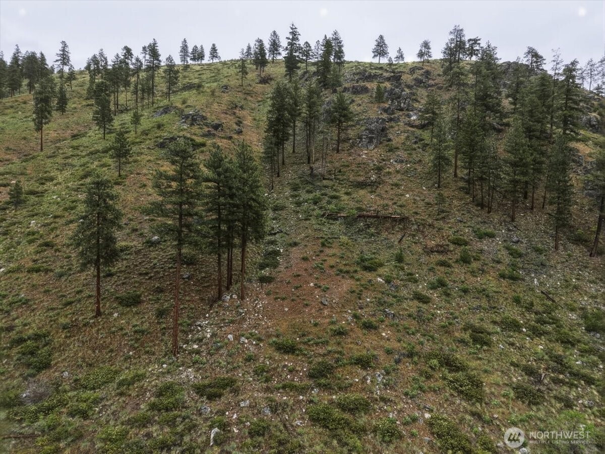 0 Washington Creek Road Chelan WA 98816