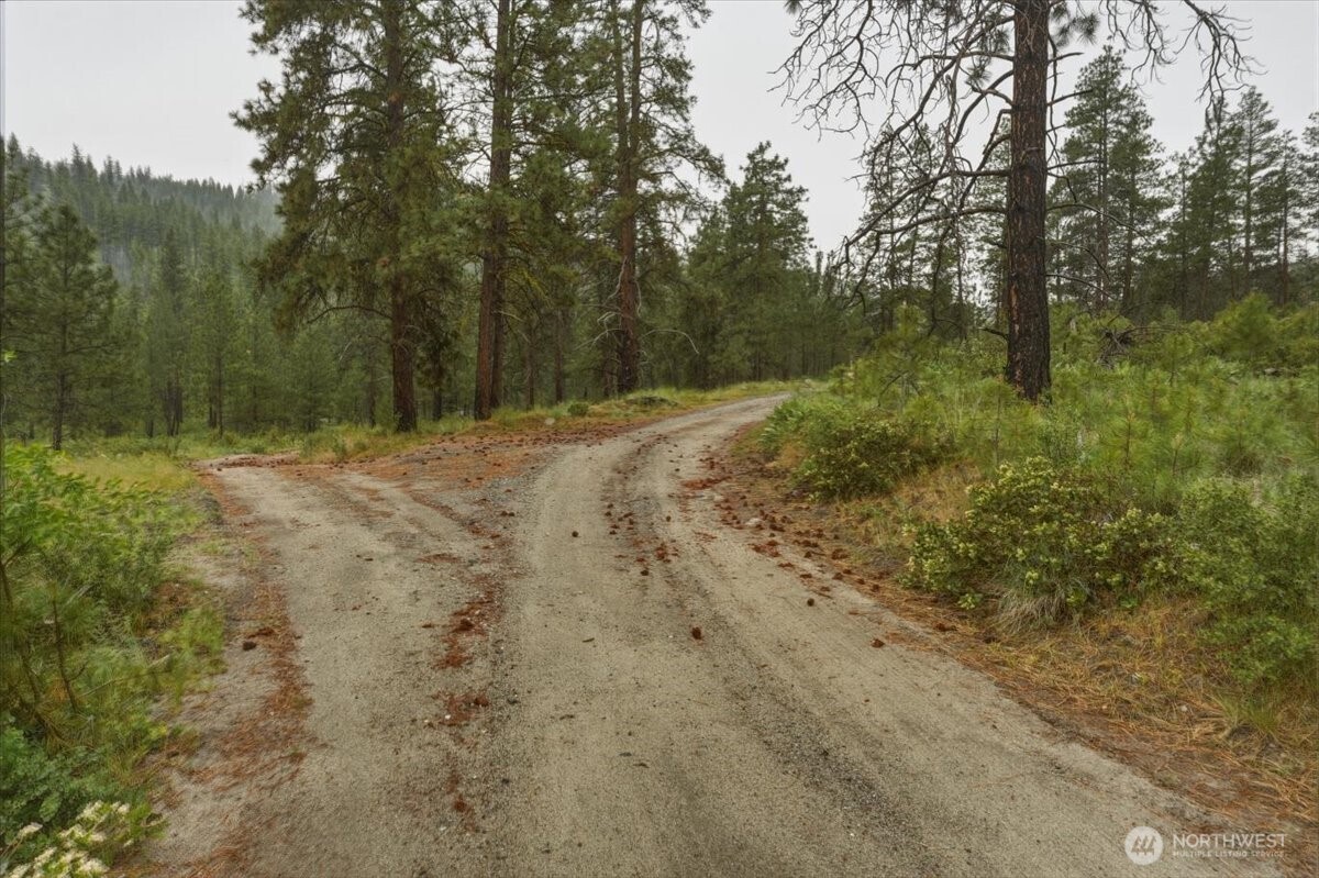 0 Washington Creek Road Chelan WA 98816