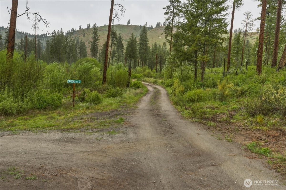 0 Washington Creek Road Chelan WA 98816