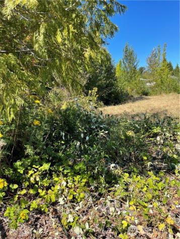 1726 Duvall Avenue NE Renton WA 98056