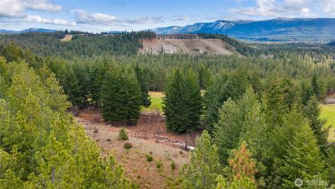 191 White Star Lane Cle Elum WA 98922