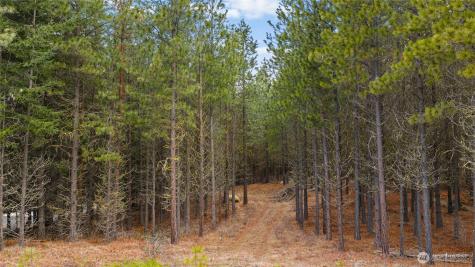 191 White Star Lane Cle Elum WA 98922