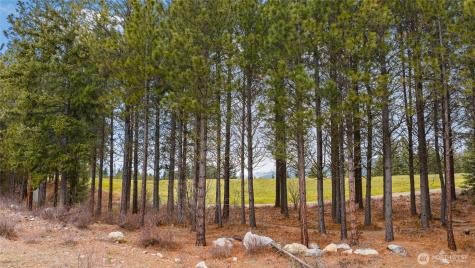 191 White Star Lane Cle Elum WA 98922