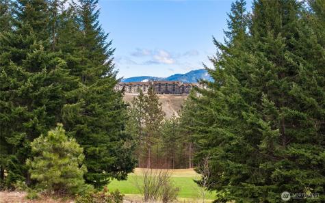 191 White Star Lane Cle Elum WA 98922
