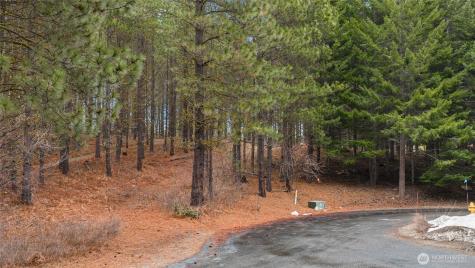 191 White Star Lane Cle Elum WA 98922